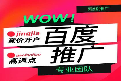 百度广告投放技巧及效果评估案例